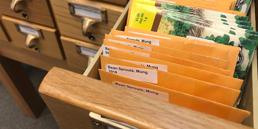 Drawer showing envelopes of seeds