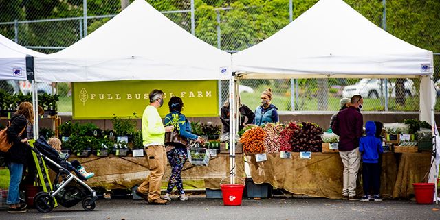 People shopping at farmers market stalls