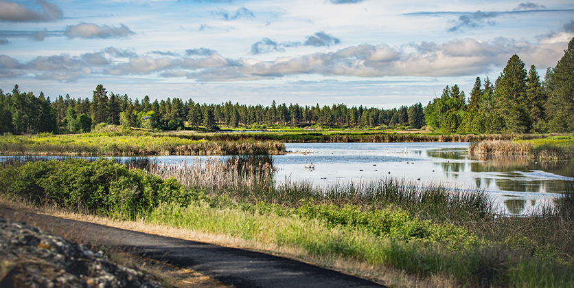 Pacific Northwest landscape at Turnbull National Refuge - view of water and greenery