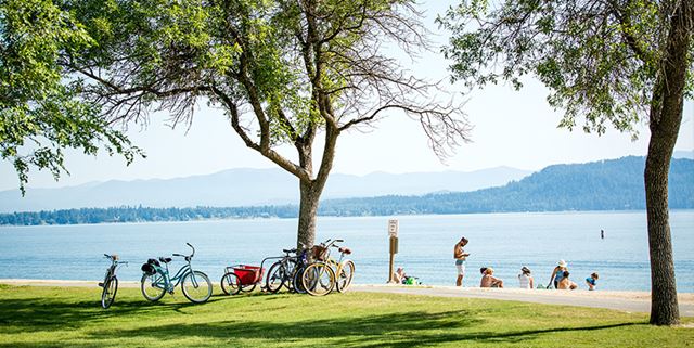 People on the beach with their bikes parked by some trees and grass