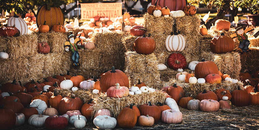 Pumpkins on bales of hay outside