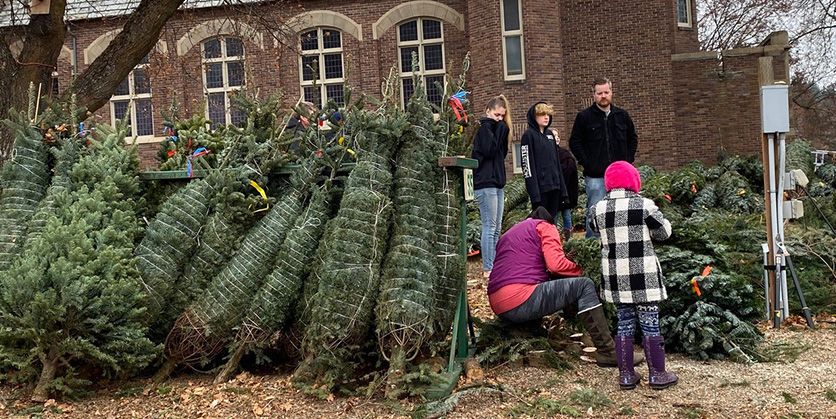 Hutton Settlement Christmas Trees 2022 Local Treasures With Pia: Christmas Tree Farm