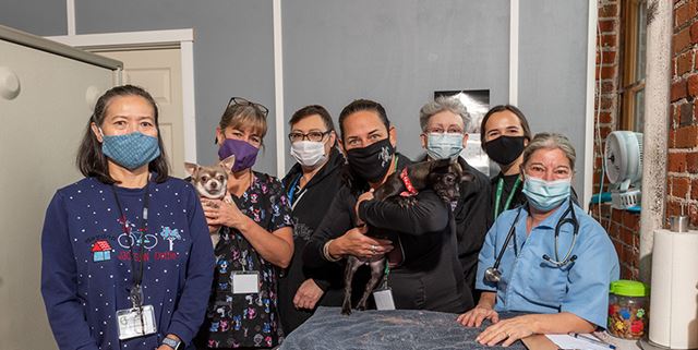 Volunteers at vet clinic