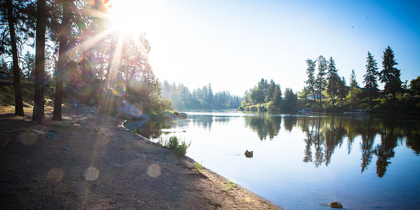 Landscape view of a shaded forest and water with the sun shining