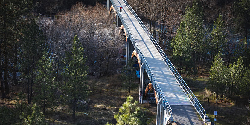 Sandifur Bridge with trees
