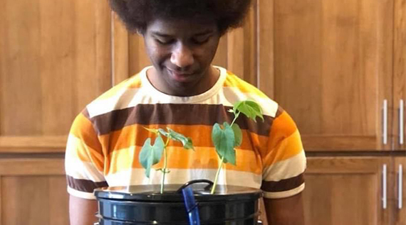 Man holds an indoor plant pot that has seedlings growing in it