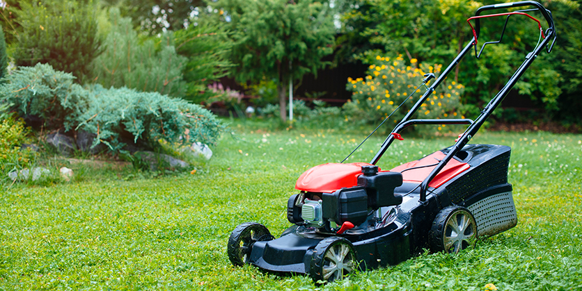 Lawn mower on green grass in backyard