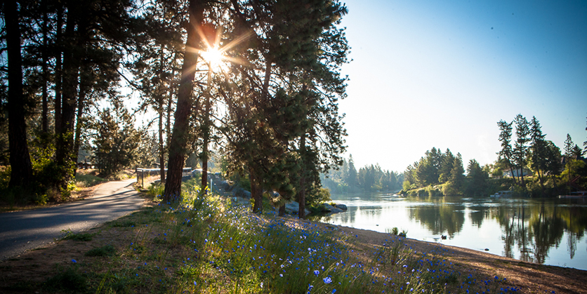 A paved trail near a river. Some wildflowers are growing next to the trail with tall trees lining it.