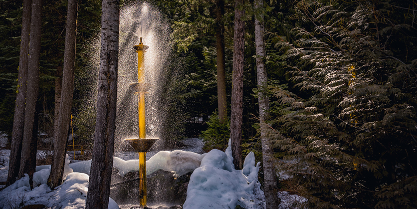 View of Elmer's Fountain - surrounded by trees with the sun shining down on the fountain