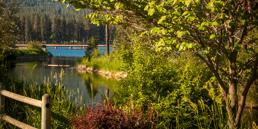 Outdoor view of Falls Park in Idaho