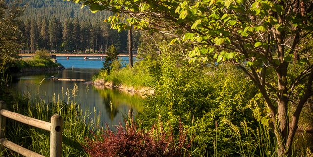 Outdoor view of Falls Park in Idaho