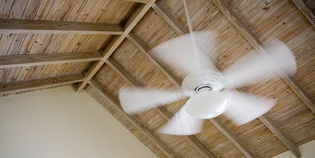 Ceiling fan