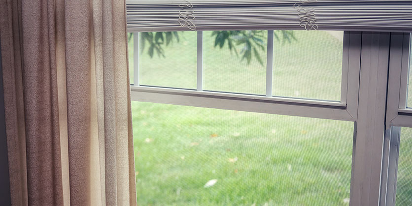 View of grass in front yard through an open window
