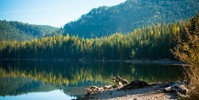 View of a river with trees lining it and a blue sky