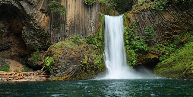 Waterfall surrounded by greenery at the North Umpqua Trail