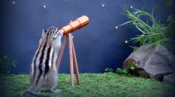 Chipmunk looking through a tiny telescope at stars