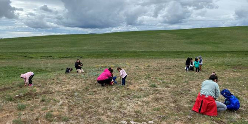 Group of Nez Perce, adults and children, in a grassy field