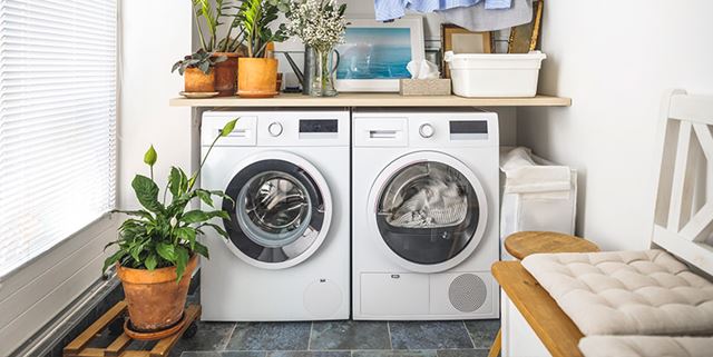 Clothes washer and laundry dryer in a room with plants