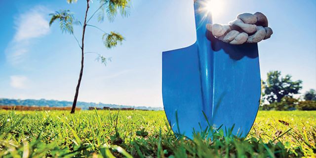 Shovel, gardening gloves, and a newly planted tree outdoors