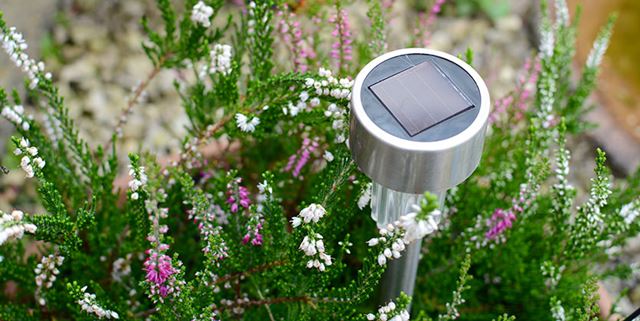 Solar powered garden lamp surrounded by flowers in a garden