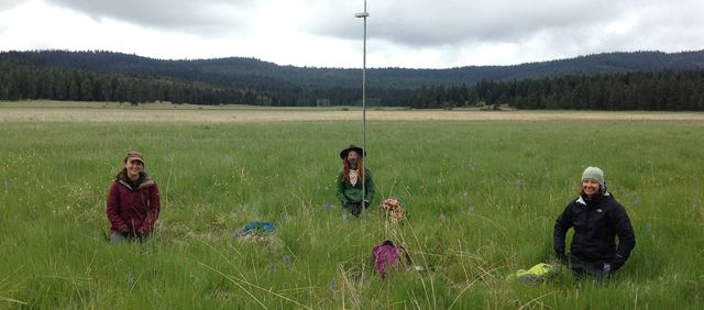 Three people outdoors in a field preparing to bird watch