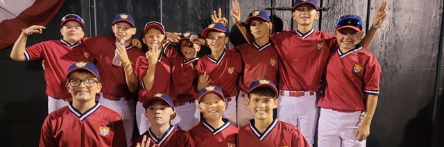 Group of twelve 11- to 13-year old boys, wearing Palouse Cougar baseball uniforms, stand together as a team.