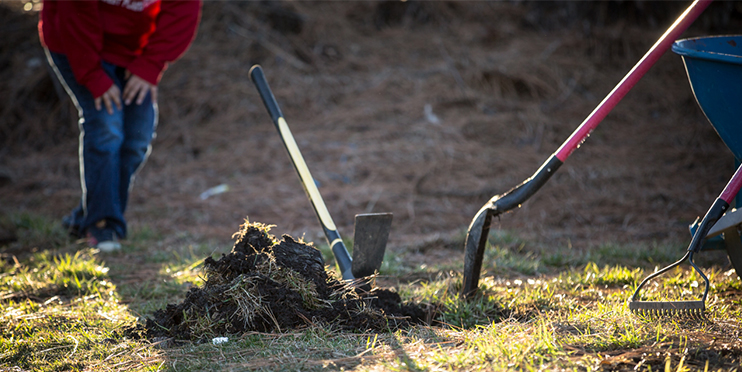 Digging with shovel in backyard
