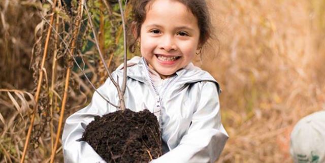 Little girl smiling holding a small tree