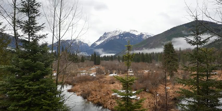Bull River