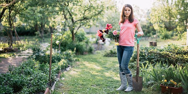 Call before you dig
