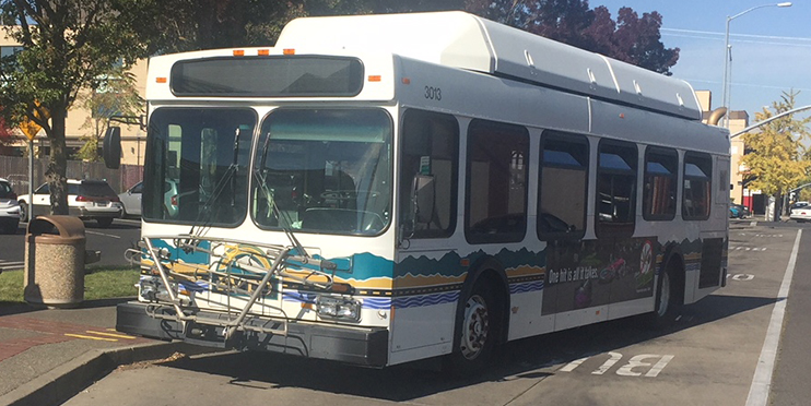 CNG bus