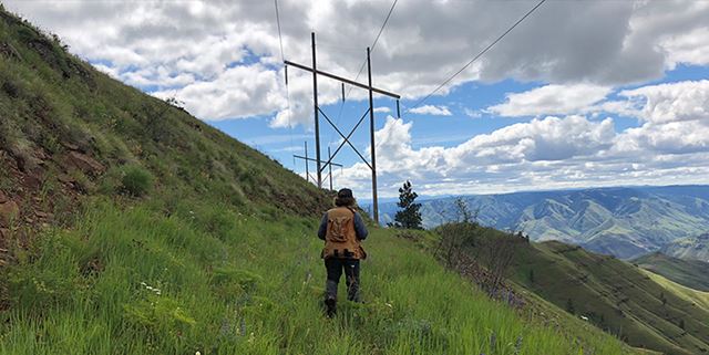 Person walking in grassy mountains
