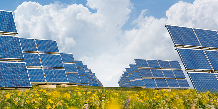 Commit to renewable energy