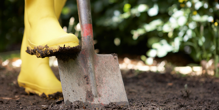 Shovel digging in dirt