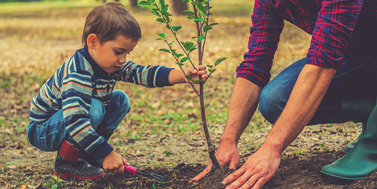 Energy savings as lovely as a tree