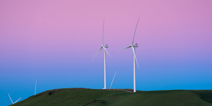 What fuels your electricity