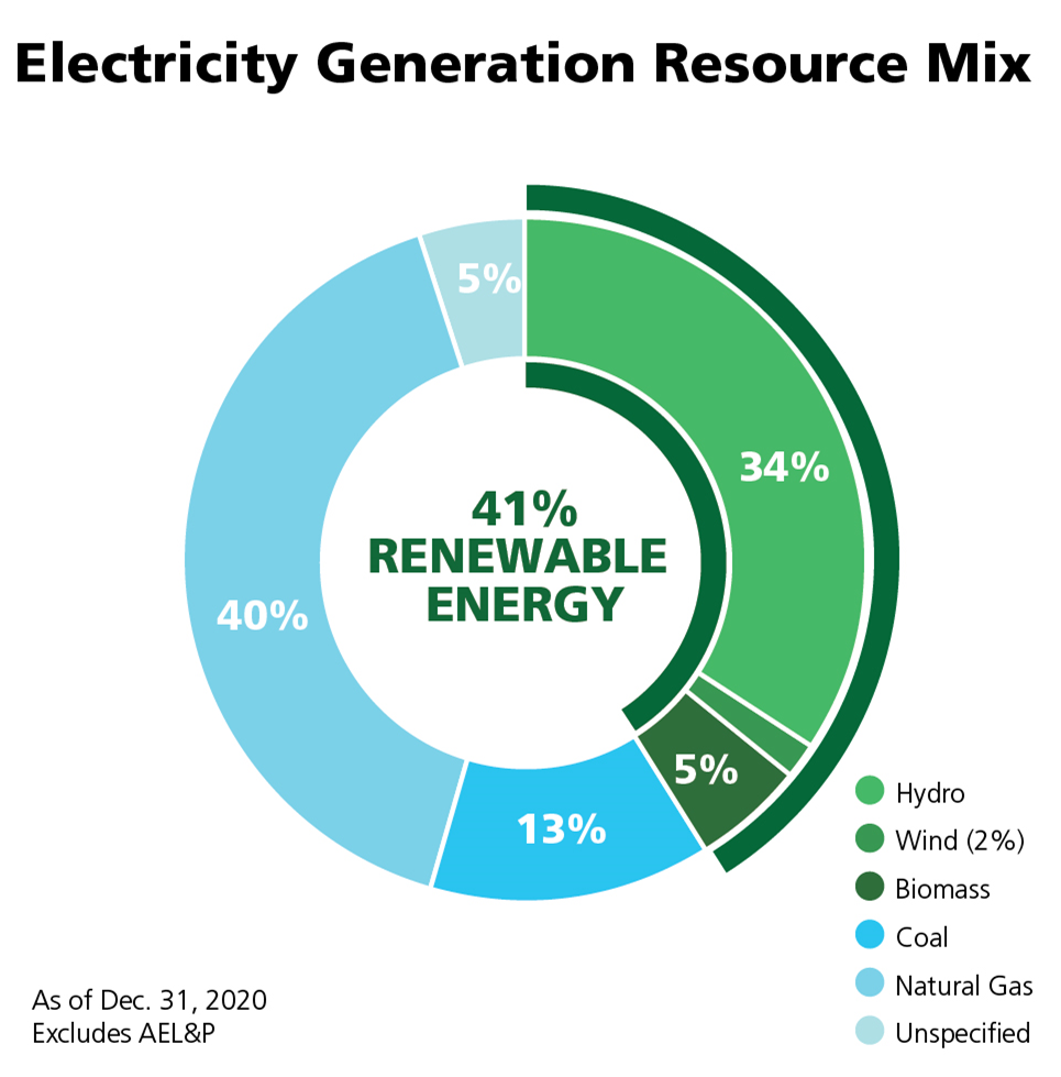 Electricity generation resource mix - 41% renewable energy, 34% hydro, 2% wind, 5% biomass, 13% coal, 40% natural gas, 5% unspecified