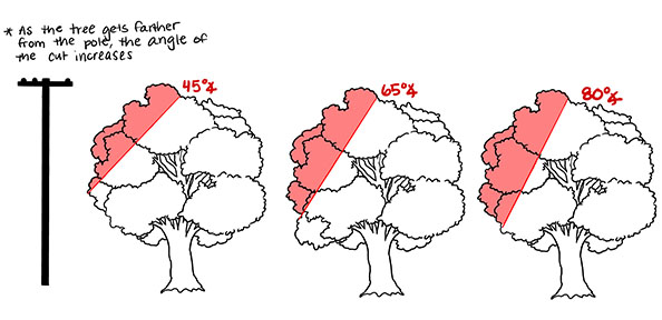 Illustration showing that as the tree gets further from the pole, the angle of the cut increases