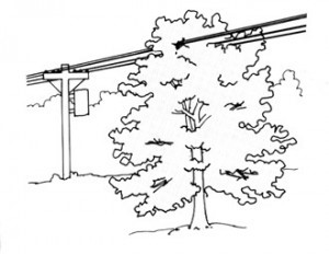 Illustration showing a tree's branches grown around a wire