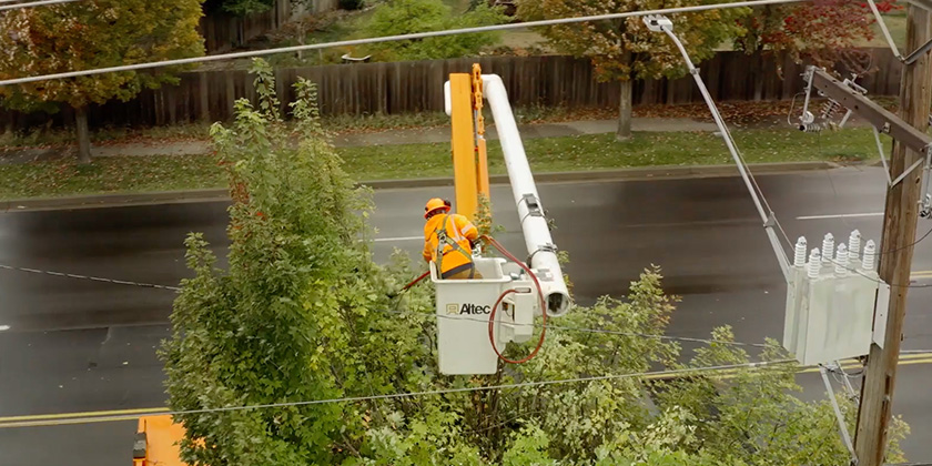 Utility worker in bucket truck trimming trees near power lines.