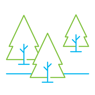 Illustration of forest