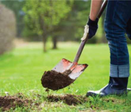 Call 811 before You Dig