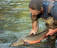 Woman releases fish into the water.