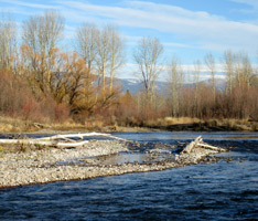 Water Flow Information