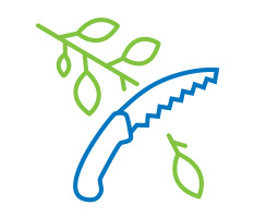 Illustration of a tree branch being trimmed