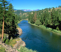 Clark Fork River Project