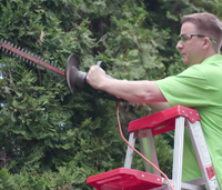 Man using electric tree trimmer