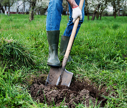 Man digging with shovel in backyard