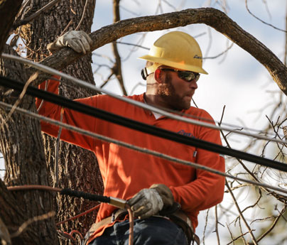 Downed power line? Damaged utility pole?