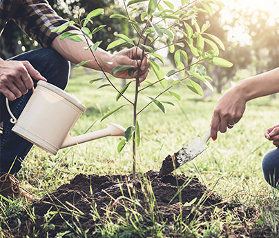 Closeup of a couple planting a tree. Man is using a watering can while the woman is shoveling dirt